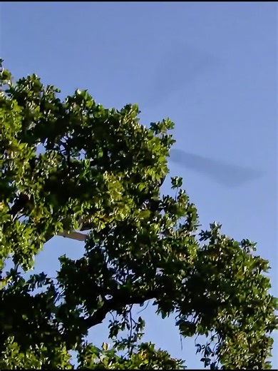 Fast N' Loud: Gas Monkey Garage's Classic Cars