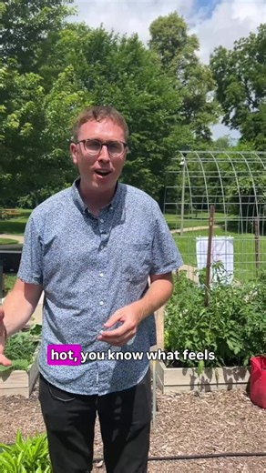 What was once a weed-filled patch of grass in a Greendale park has turned into a thriving garden. Its caretakers, local kids, have been helping maintain it for seven years and giving the produce grown there to a local senior citizens group.