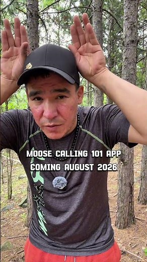 When a Moose Accepts You as Another Moose - Moose Calling 101
