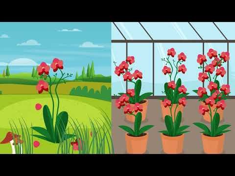 BIOSHIELD MODULE 5 - VIDEO 2