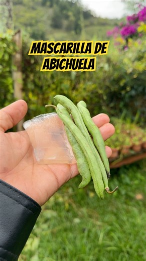 Mascarilla para una piel perfecta #mascarillasnaturales