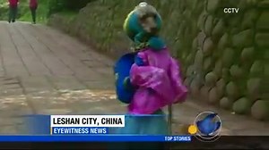 21K views · 553 reactions | A fully-clothed dog walking on its two hind legs is turning heads in China. But, this video had The Morning Show team talking too! Check it out! | ABC7 Morning Show | Facebook