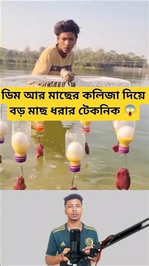 How to Catch Big Fish with Eggs and Liver