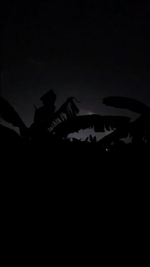🦗 Pure Night Nature Sounds — Crickets & Frogs for Deep Relaxation