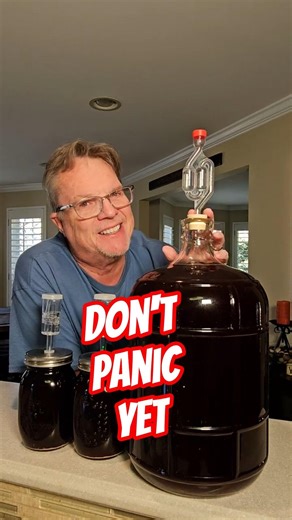 Secondary Fermentation in Wine Making is OK #wine #howto #winetasting #winemaking #winemaker #taste