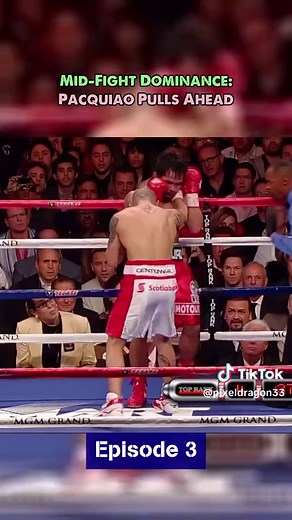Manny Pacquiao vs Miguel Cotto Fight Highlights
