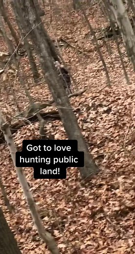 They always show at prime time too lol #publiclandhunting #hunting