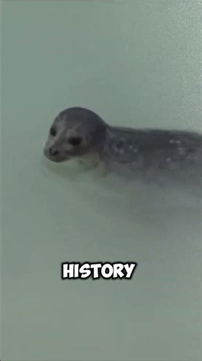 "50 Shades of Blue: Alaska’s Icy Paradise"