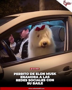 🐶El perrito de Elon Musk se ha convertido en una sensación en las redes sociales gracias a sus adorables movimientos de baile, cautivando a miles de usuarios con su simpatía. #PerritoDeElonMusk #BailaConEstilo #SensaciónEnRedes #ElonMusk #BaileDePerro | Radio Elite 99.7