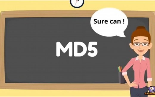 MD5码的简单介绍。（由王小云教授破解）