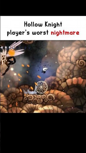 hidden final boss in hollow knight 😭