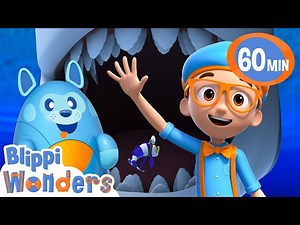 Blippi visits a Shark's Mouth?! | Blippi Wonders Educational Videos for Kids - Videos For Kids