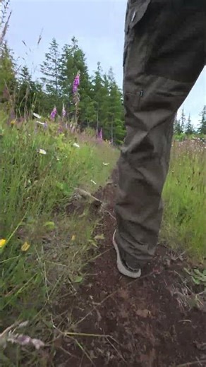 Hiking Is about the journey, Not the destination #hiking