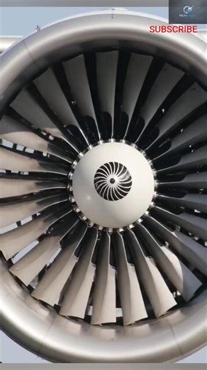 Why birds HATE this one trick! 🦅 #shorts #planes #aviation #facts #factchannel #explained #viral