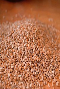 🎄✨ Magical Christmas Eve in the Ukrainian Mountains — 12 Traditional Dishes Cooked with Love 🏔️🍲 #ChristmasVibes #MountainLife #UkrainianTradition | Hengtola HD