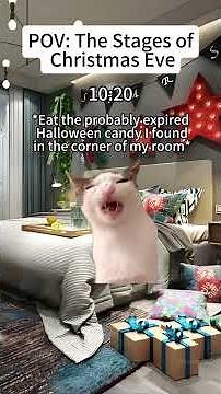 CAT MEMES🐱The Stages of Christmas Eve🎀✨🎄#catmemes #christmas #cat #funny #funnycats #foryou #cute