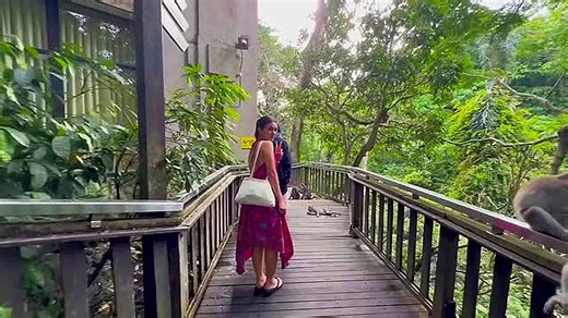 Cheeky monkey grabs woman's skirt during forest walk