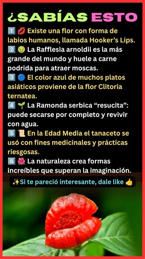 Flores Reales que Parecen Imposibles 😱 | ¿Sabías Esto?