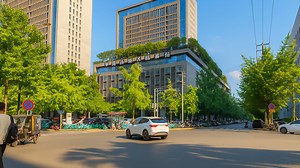 Look at That Rooftop Garden in the City Center!
