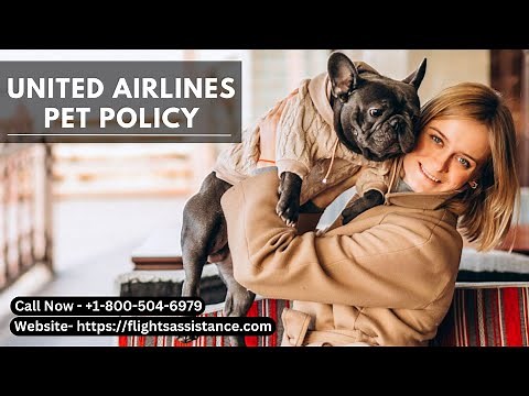 How to fly with your cat/dog on United Airlines || United Airlines Pet Policy