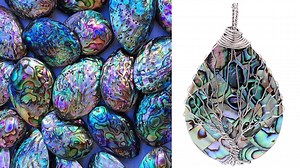 Watch natural abalone shell necklace on Amazon Live