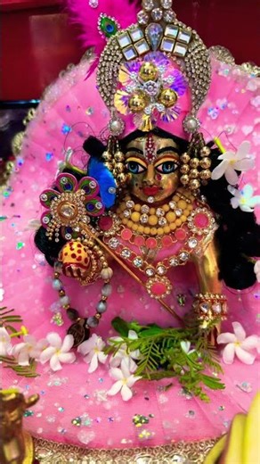Shyam Shyam Shyam‪@Neetubhavendravlogs‬ #ladoogopalbhajan #krishna #shyam #shorts