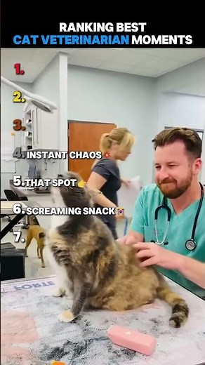 Ranking Best Cat Vet Reactions (Screaming Guaranteed) 😹 #cats #humor