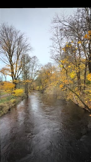 Taylor Swift songs fit every places. Out of the wood #taylorsversion #taylorswift