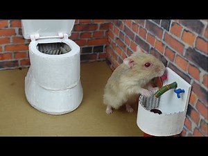 Epic Hamster Prison Escape Challenge (Toilet Maze Edition)