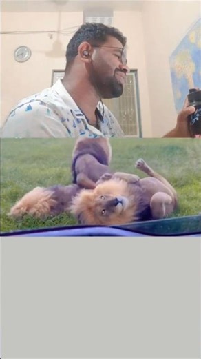 Dayaram Ka Alspan #funnycat #funny #comedyvideos #memes #viralshorts #shorts #trendingshorts