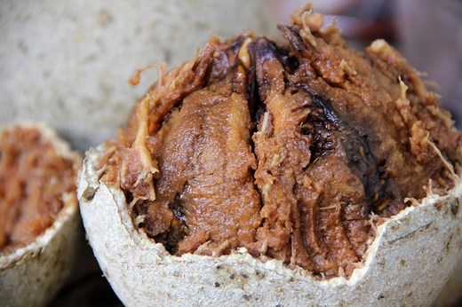 Wood Apple: A Fantastic Fruit with a Funky Smell