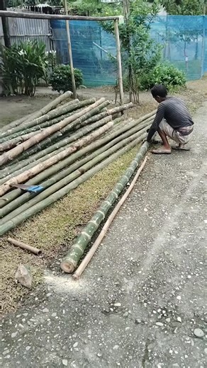 102 reactions · 13 comments | New fram setup  #mushroomfarming #mushroomhouse #mushrooms | Tanmoy Sarkar | Facebook