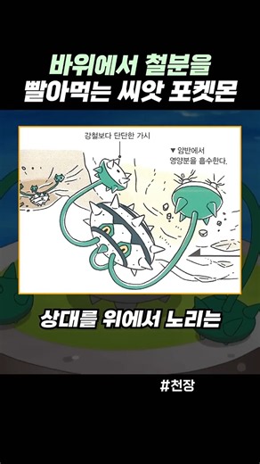 바위에서 철분을 빨아먹는 씨앗 포켓몬