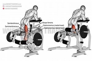 Kneeling leg curl exercise instructions and video | Weight Training Guide