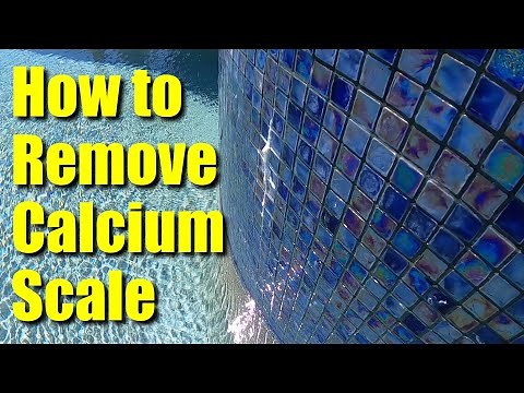 💦Pool Help 1 ● Remove Calcium Scale and Mineral Deposits From Water Features and Tile Line ✅