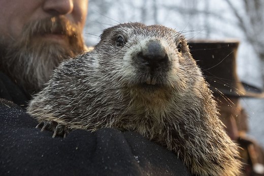 Groundhog Day 2021: Did Punxsutawney Phil see his shadow?