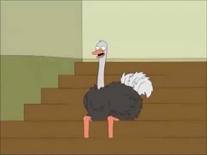 Family Guy Ostrich Laughing 1 hour