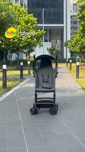 1.4K views · 19 reactions | MINI in size, BIG in benefits. 朗 The...