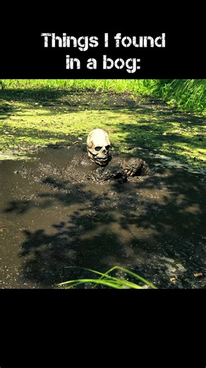 Things I've found in a bog! What else do you think is hidden under the mud? 🤔🌿💀 #bog #mud #swamp #quicksand #bogjumping #bogghoul #mudbath #mudding #bogging #diving #nature #survival #fyp #challenge #camping #viral bog jumping