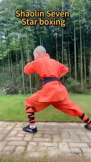 4.1K views · 164 reactions | #Shaolin_Monk #Shaolin_Kung_Fu #Chinese_Shaolin_Martial_Art #Yunnan_Shaolin_Temple_China | Shaolin Kong Fu | Facebook