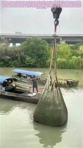 Shellful Delivery: The Unconventional Unloading That Protects the Catch