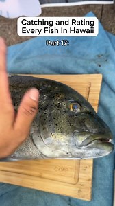Catching and Rating Every Fish in Hawai’i part 17: Ulua (blue fin trevally) #catchandcook #spearfishing #fishing | Islandcatchandcook