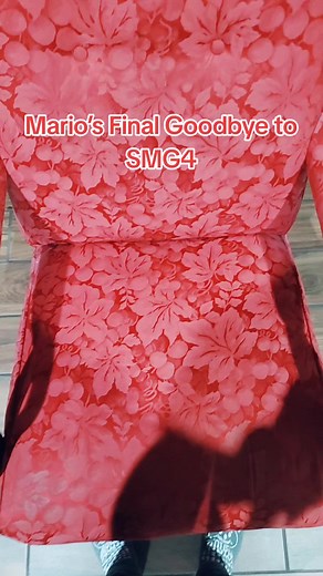 Mario's Heartfelt Farewell to SMG4 Community