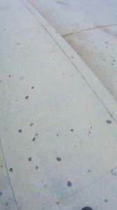 Pier 360 Beach Festival was an absolute blast 🎉 From live music to ocean competitions, we had the best time kicking off summer. Now, it’s all about soaking up the sun and chasing those Santa Monica sunsets! 🌅 🎥: @cosmicdemise | Santa Monica Pier