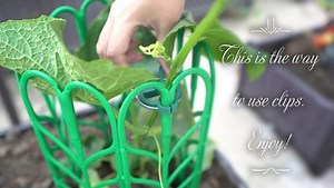 Watch How to use clips? on Amazon Live