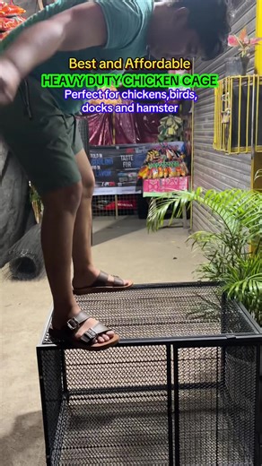 Heavy Duty Chicken Cage for Safe Bird Housing
