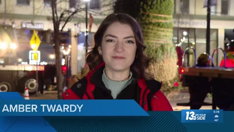 37-foot Christmas tree installed in Rosa Parks Circle