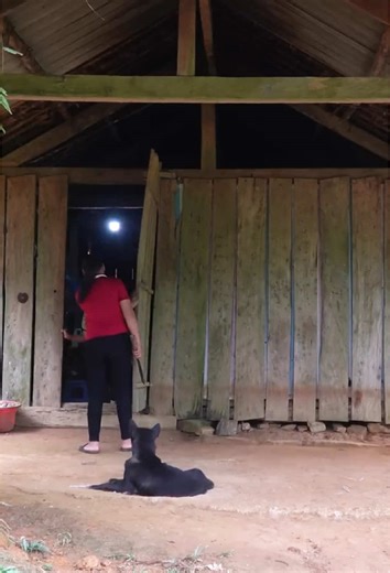 A Girl Brings Her Grandma’s House Back To Life In Just 55 Days #farmlife #build #garden #survival