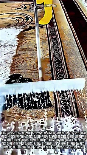 전문가의 카펫 청소 기술 스퀴지 작업 과정 #worker #process #carpet #cleaning #squeegee