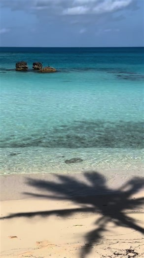 March Recap: Highlights from Bermuda